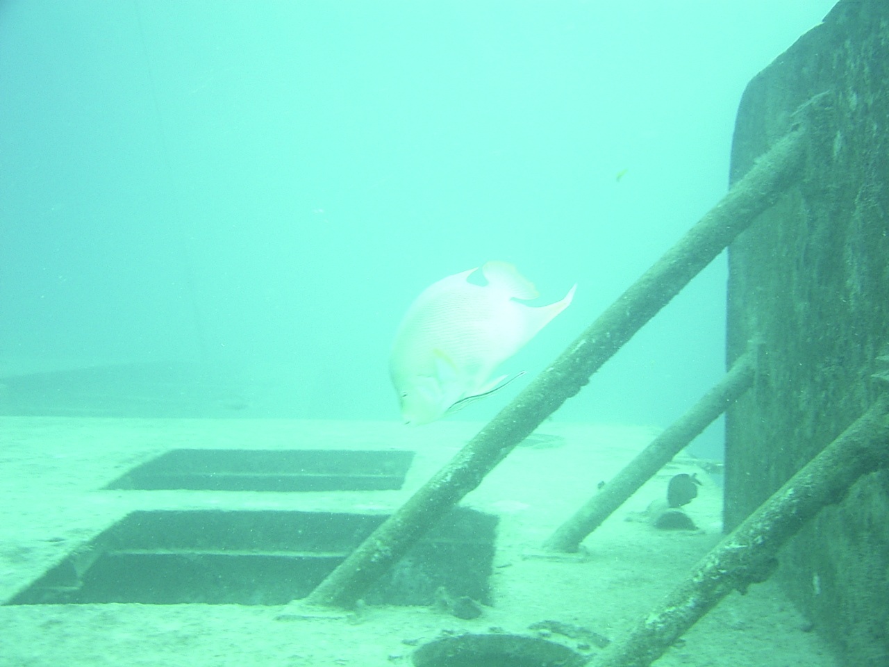 USS Spiegel Grove upright on the ocean floor today